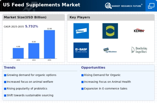 US Feed Supplements Market Infographic