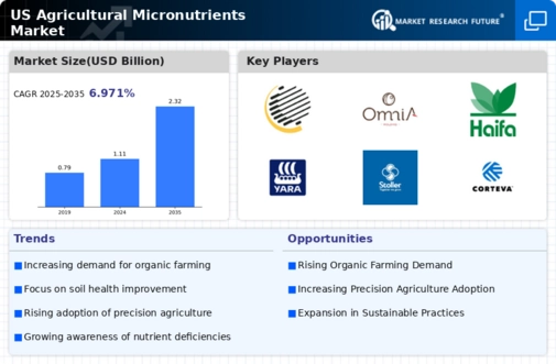 US Agricultural Micronutrients Market Infographic