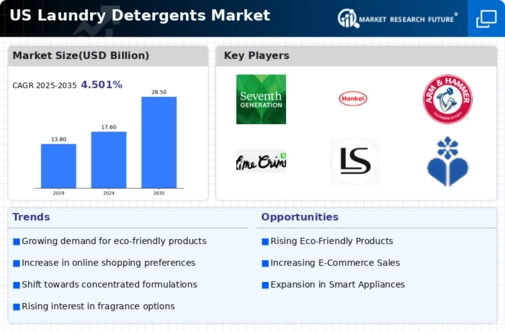 US Laundry Detergents Market Infographic