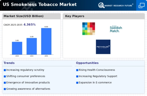 US Smokeless Tobacco Market Infographic