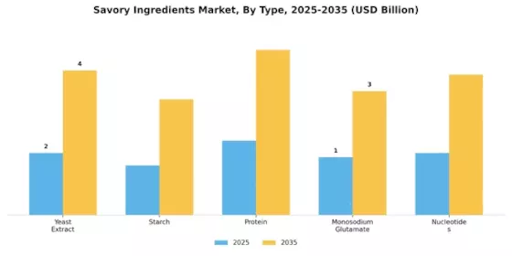Savory Ingredients Market Segment Image 0
