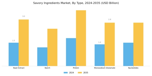 Savory Ingredients Market Segment Image 0