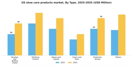 US Shoe Care Products Market Segment Image 1