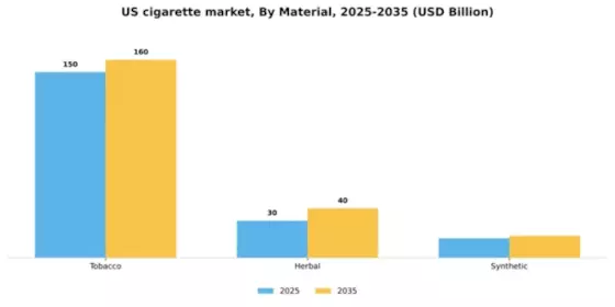 US Cigarette Market Segment Image 2