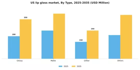 US Lip Gloss Market Segment Image 2