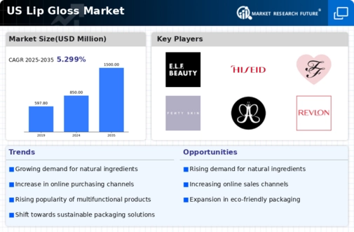 US Lip Gloss Market Infographic