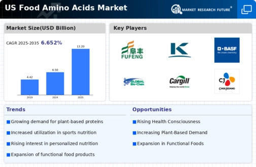 US Food Amino Acids Market Infographic