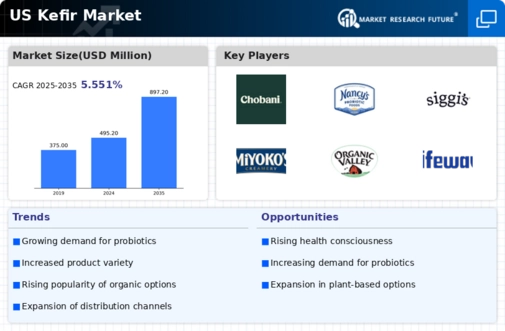 US Kefir Market Infographic