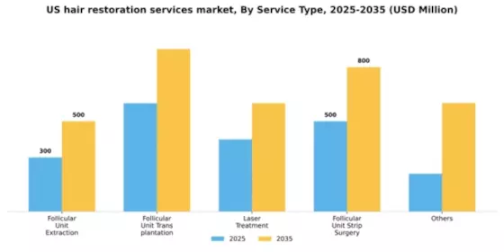 US Hair Restoration Services Market Segment Image 2