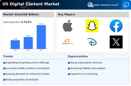 US Digital Content Market Infographic