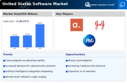 US Software Market Infographic