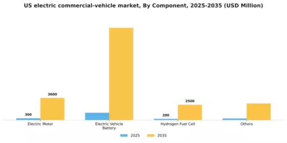 US Electric Commercial Vehicle Market Segment Image 0