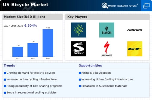 US Bicycle Market Infographic