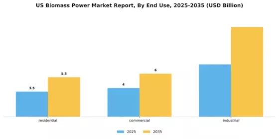 US Biomass Power Market Segment Image 0