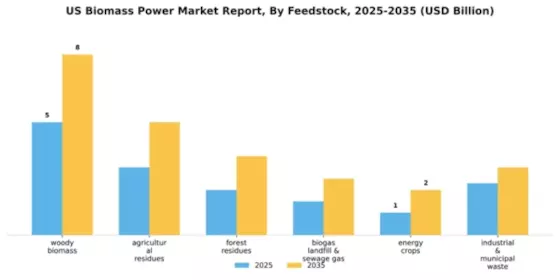 US Biomass Power Market Segment Image 1