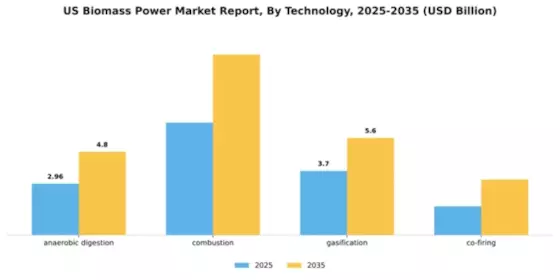 US Biomass Power Market Segment Image 2
