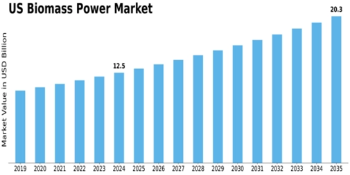 US Biomass Power Market Size