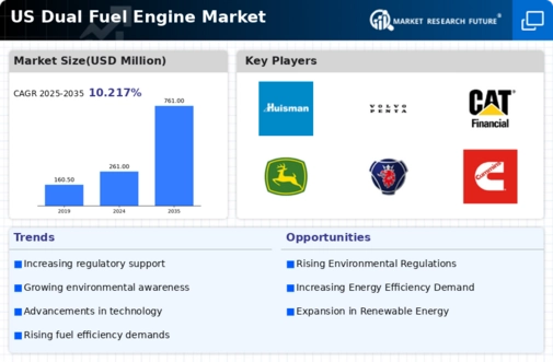 US Dual Fuel Engine Market Infographic