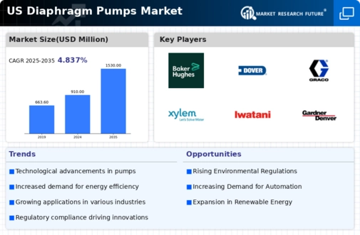 US Air Operated Double Diaphragm Pumps Market Infographic