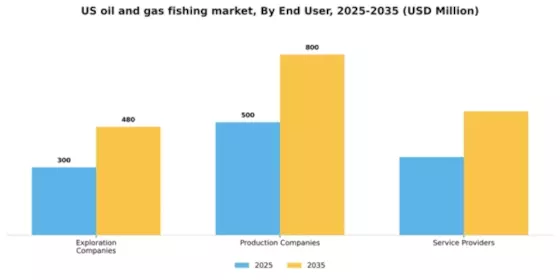 US Oil Gas Fishing Market Segment Image 1