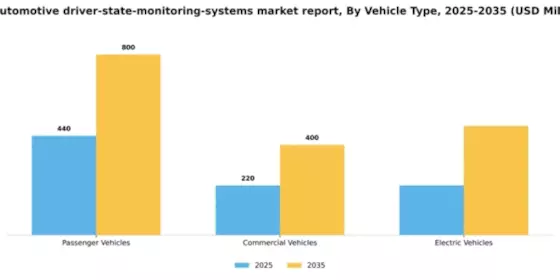 US Automotive Driver State Monitoring Systems Market Segment Image 3