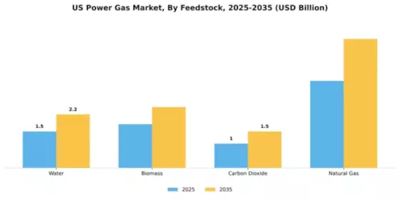 US Power Gas Market Segment Image 1