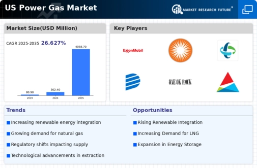 US Power Gas Market Infographic