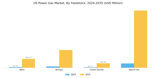 US Power Gas Market Segment Image 2