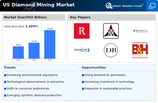 US Diamond Mining Market Infographic