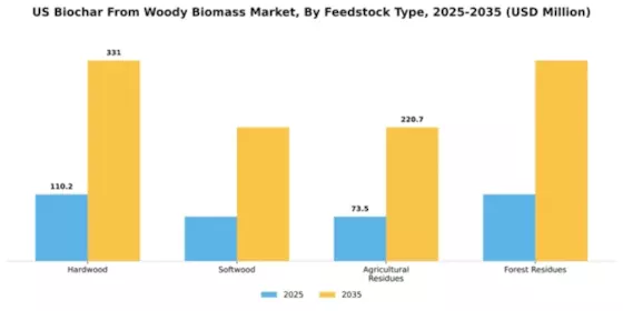 US Biochar from Woody Biomass Market Segment Image 2