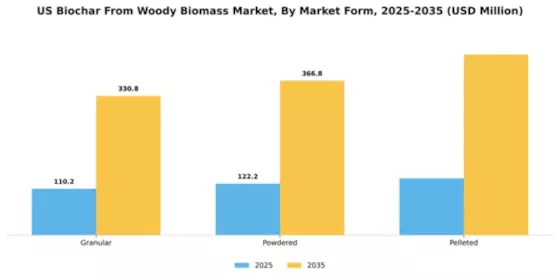 US Biochar from Woody Biomass Market Segment Image 3