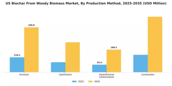 US Biochar from Woody Biomass Market Segment Image 4