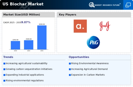 US Biochar from Woody Biomass Market Infographic