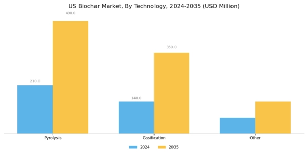 US Biochar from Woody Biomass Market Segment Image 0