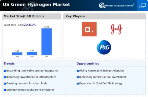US Green Hydrogen Market Infographic