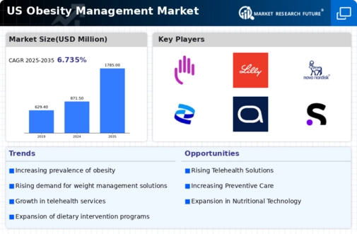 US Obesity Management Market Infographic
