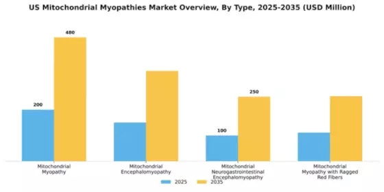 US Mitochondrial Myopathies Market Segment Image 3