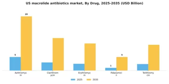 US Macrolide Antibiotics Market Segment Image 0