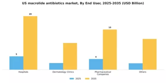 US Macrolide Antibiotics Market Segment Image 1