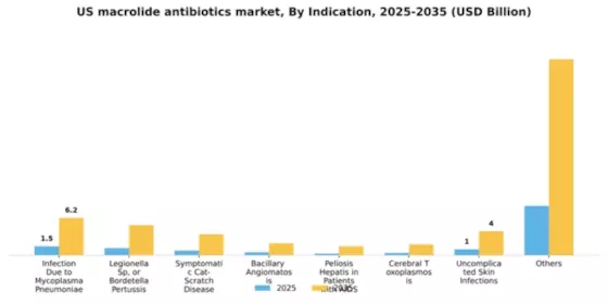 US Macrolide Antibiotics Market Segment Image 2