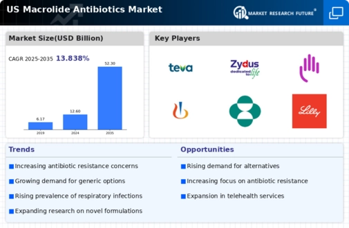 US Macrolide Antibiotics Market Infographic