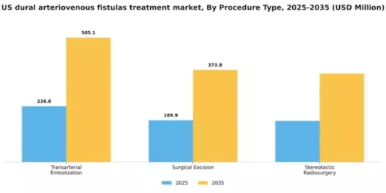 US Dural Arteriovenous Fistulas Treatment Market Segment Image 3