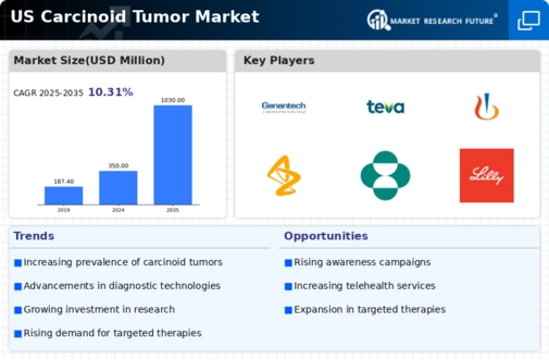 US Carcinoid Tumor Market Infographic