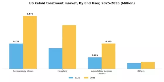 US Keloid Treatment Market Segment Image 0