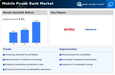 Mobile Power Bank Market Infographic
