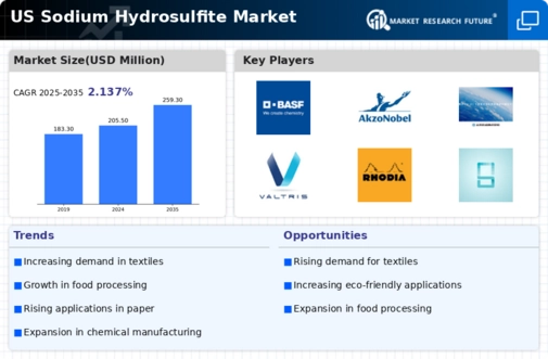 US Sodium Hydrosulfite Market Infographic