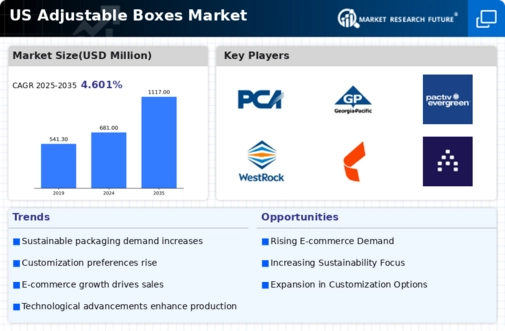 US Adjustable Boxes Market Infographic