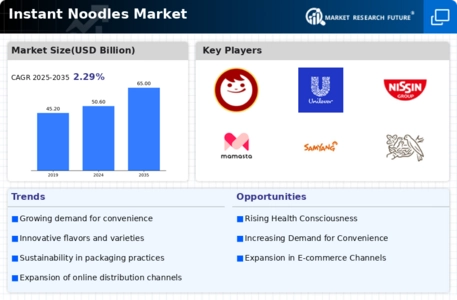 Instant Noodles Market Infographic