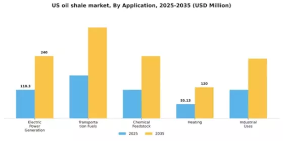 US Oil Shale Market Segment Image 0