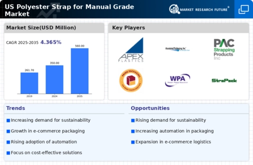 US Polyester Strap For Manual Grade Market Infographic